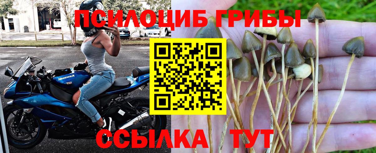 Галлюциногенные грибы мицелий Кудрово