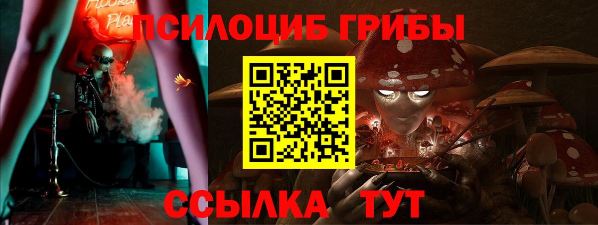 Галлюциногенные грибы Psilocybe  Галлюциногенные грибы Magic Shrooms  Вход с VPN  Кудрово 